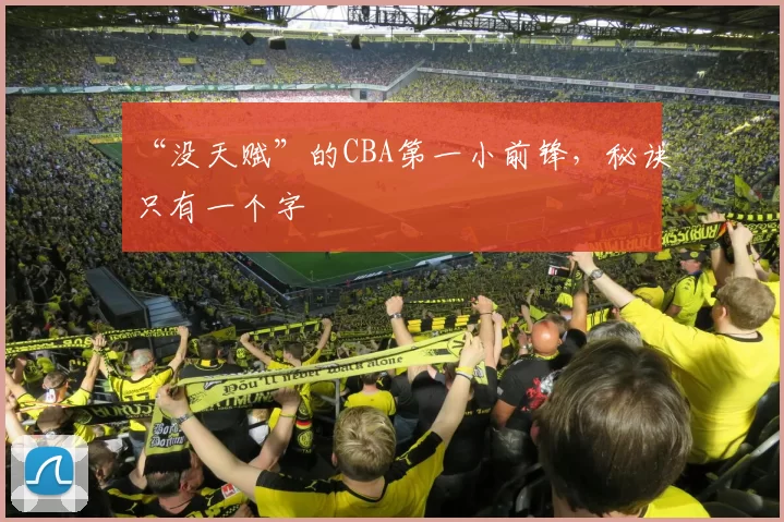 “没天赋”的CBA第一小前锋，秘诀只有一个字