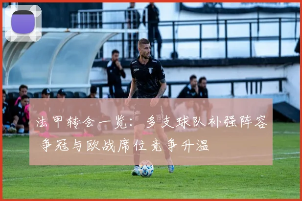法甲转会一览：多支球队补强阵容 争冠与欧战席位竞争升温