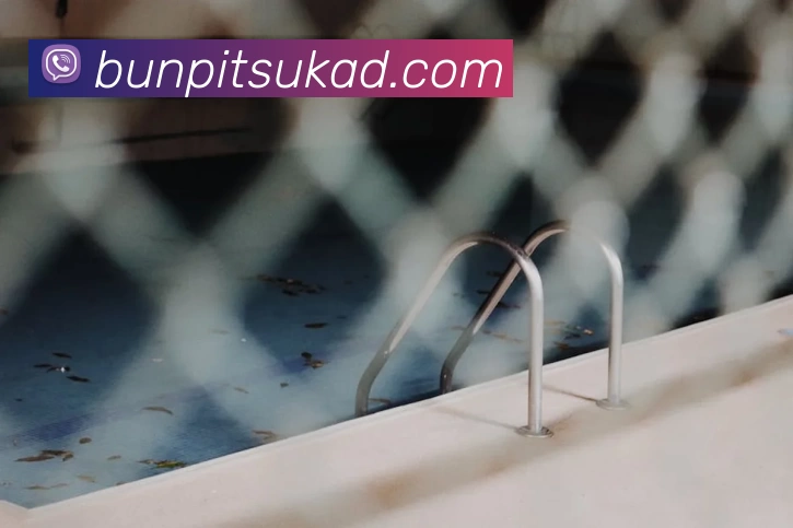 爱游戏体育官网首页平台生态图